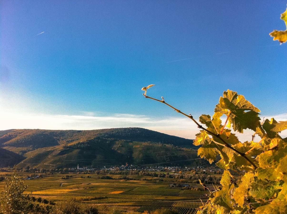Gaestehaus Weingut Meierer Kesten Экстерьер фото
