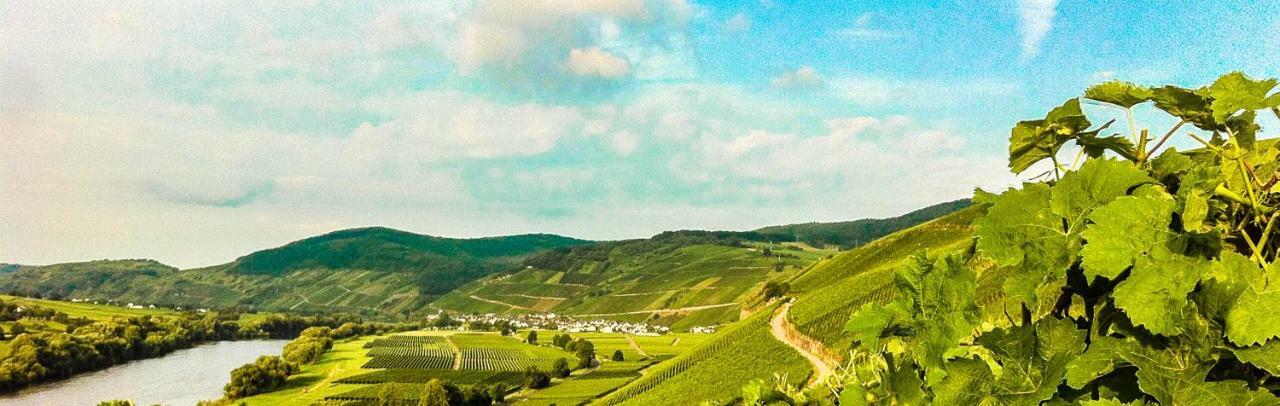 Gaestehaus Weingut Meierer Kesten Экстерьер фото